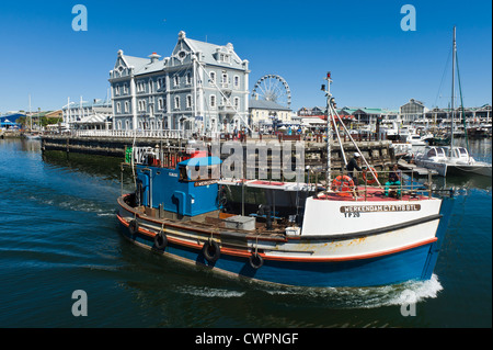 Fresa di pesca e africana di Porto Commerciale edificio a V&A Waterfront, Città del Capo, Sud Africa Foto Stock