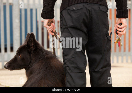 Una chiusura di un pastore tedesco cane da guardia con controllo del gestore di sicurezza a un'installazione commerciale Foto Stock