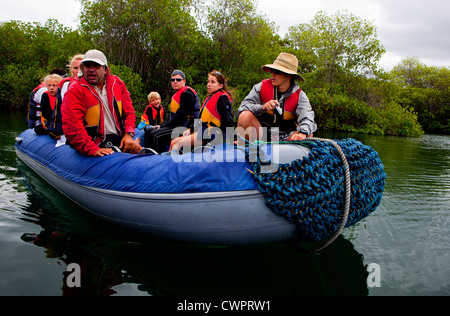 Guida Naturalista, Fabricio Carbo mostra un gruppo di canali di mangrovie in Elizabeth Bay, Isabela Island, Galapagos Foto Stock