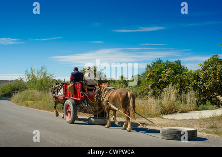 Due cavalli e un carrello tirare un due pneumatici di grandi dimensioni pur essendo azionata da due uomini lungo una strada di campagna vicino a Altea,Spagna Foto Stock