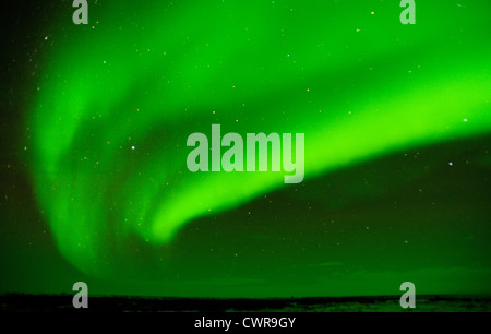 Aurora boreale, con Orsa Maggiore (il Big Dipper) costellazione, guarnizione patrimonio fluviale Lodge, Churchill, Manitoba, Canada Foto Stock