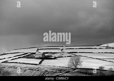 Vista di una fattoria nel Peak District con pareti di pietra sulla collina erbosa e un colore scuro e meditabondo il cielo sopra la testa Foto Stock