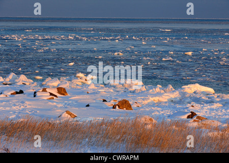 Baia di Hudson litorale all'inizio dell'inverno, guarnizione patrimonio fluviale Lodge, Churchill, Manitoba, Canada Foto Stock