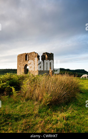 La rovina di Skelton Torre che sovrasta Newtondale nel North Yorkshire Moors National Park Foto Stock