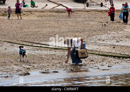 Port Isaac, Cornwall, Inghilterra, Regno Unito. Foto Stock