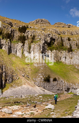 Regno Unito, Inghilterra, Yorkshire, Malham, Gordale Scar gli alpinisti con cani giocando in Gordale beck Foto Stock