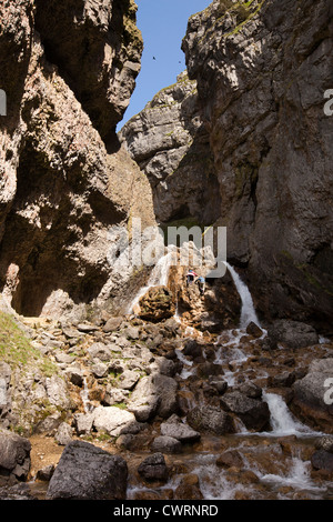 Regno Unito, Inghilterra, Yorkshire, Malham, Gordale Scar, cascata Foto Stock