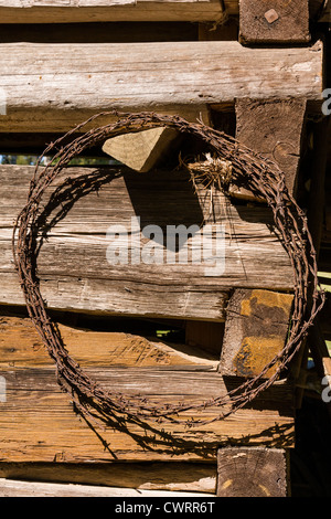 Filo spinato all'Heritage Village storico museo dei pionieri nel Texas orientale. Foto Stock