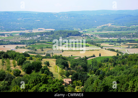 Vista sui campi nei pressi Roussillon nella regione della Provenza - il caratteristico paesaggio provenzale Foto Stock