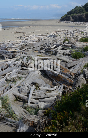 Grigio registri driftwood lavato fino a una spiaggia sulla Penisola Olimpica nello Stato di Washington. Foto Stock