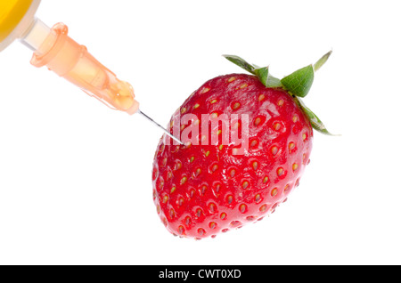 La scienza del transgene concetto alimentare siringa di frutta con fragola isolato Foto Stock