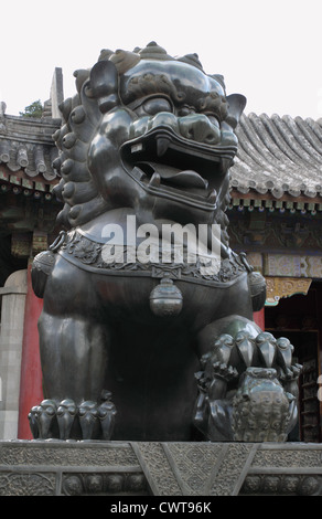 Cinese imperiale Leone, chiamato anche custode di Lion, sono una comune rappresentazione del leone in pre-Cina moderna Foto Stock