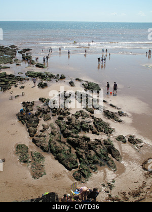 Piscine di roccia e per vacanza a Sidmouth da Jacobs Ladder su una fine agosto giornata estiva, Devon Foto Stock