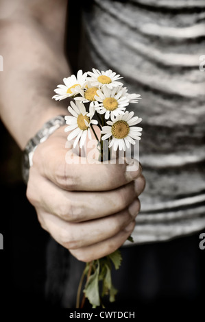 Fiori della holding Foto Stock