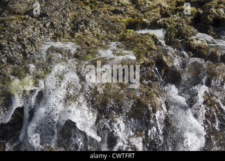 Un close-up di una roccia sul mare Foto Stock