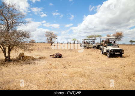 I turisti in un African safari in jeep guardando i Lions e le loro kill Riserva Selous Tanzania Africa Foto Stock