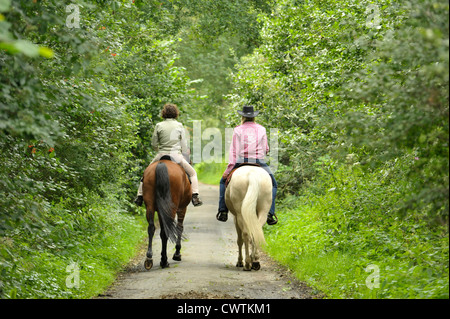 equitazione Foto Stock