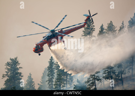 Antenna di elicottero di navi cisterna di acqua caduta su incendio di foresta in Western Montana, USA Foto Stock