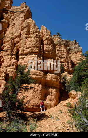 Red Canyon, Dixie National Forest, Utah Foto Stock