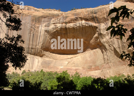 Abbassare Calf Creek Falls Trail , grande scalone, Escalante National Monument, Utah Foto Stock