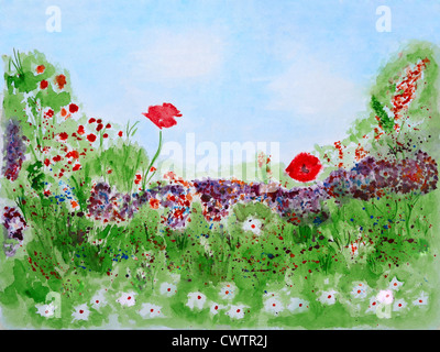 Wild fiori estivi sul prato, dipinti ad acquerello Foto Stock