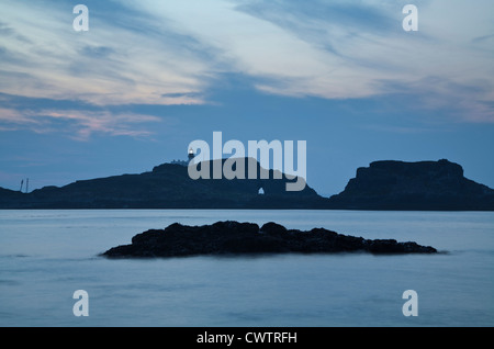 Fidra Island, vicino a North Berwick, East Lothian, Scozia. Foto Stock