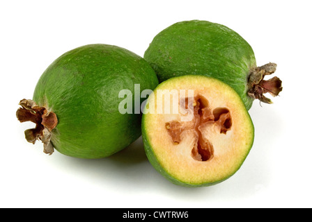 La frutta tropicale feijoa (Acca sellowiana) isolato su bianco Foto Stock