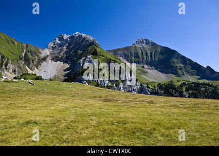 Mont Saxonnex (Haute Savoie,Francia) : Jalouvre di picco Foto Stock