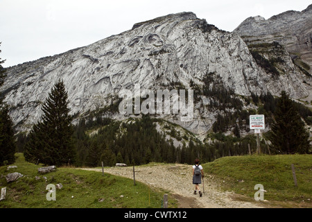 Mont Saxonnex (Haute Savoie,Francia) : Foto Stock