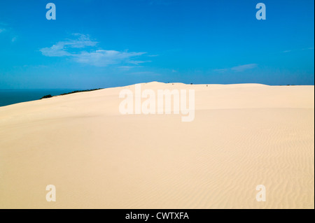 La Duna del Pilat, La Teste de Buch, Gironde, Aquitaine, Francia Foto Stock