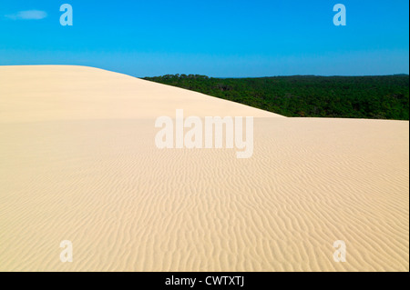 La Duna del Pilat, La Teste de Buch, Gironde, Aquitaine, Francia Foto Stock