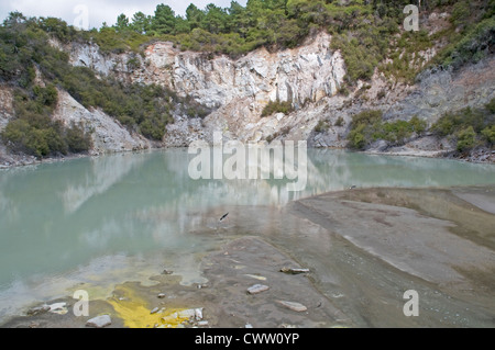 Wai-O-Tapu Thermal Wonderland vicino a Rotorua, Nuova Zelanda Foto Stock