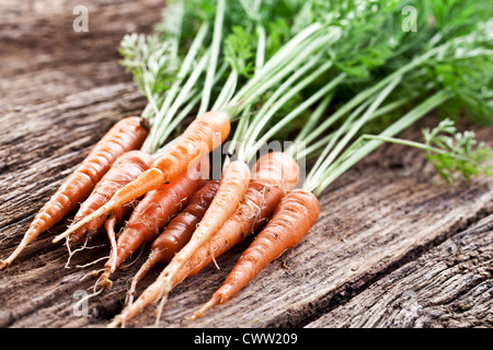 Le carote con foglie su un vecchio tavolo di legno. Foto Stock