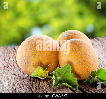 3 melone con le foglie sul vecchio tavolo in legno. Foto Stock