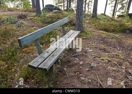 Svuotare panca di legno in un'estate europea park Foto Stock