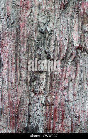 Texture di corteccia di albero background closeup Foto Stock