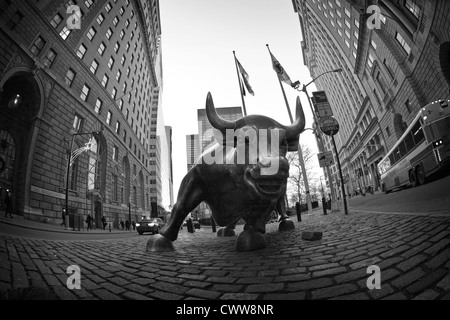 Bowling Green Bull, più comunemente noto come Wall Street Bull, si trova nel quartiere finanziario di New York City. Foto Stock