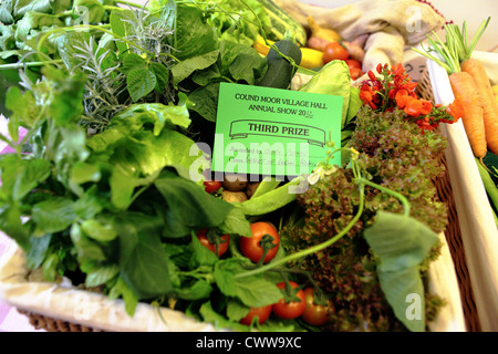 Le verdure di casa all'interno di un cestello avente il terzo posto conquistato in Cound Moor village fete in Shropshire. Foto Stock