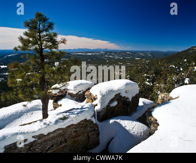 Il Mogollon Rim è un topografico e caratteristica geologica in esecuzione attraverso gli Stati Uniti Stato dell Arizona. Foto Stock