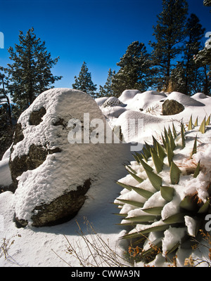 Il Mogollon Rim è un topografico e caratteristica geologica in esecuzione attraverso gli Stati Uniti Stato dell Arizona. Foto Stock