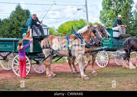 La mostra nazionale del cavallo al Evangeline fiera agricola e Acadian Festival in Prince Edward Island, Canada. Foto Stock