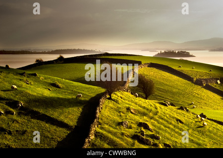 I muri in pietra, erbosa collina rurale Foto Stock