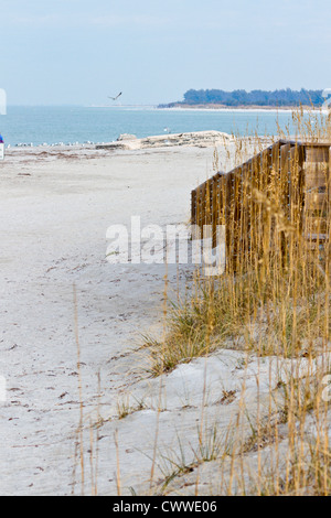 Dune e erbe del mare lungo la linea costiera di Fort De Soto county park in Tierra Verde, Florida Foto Stock