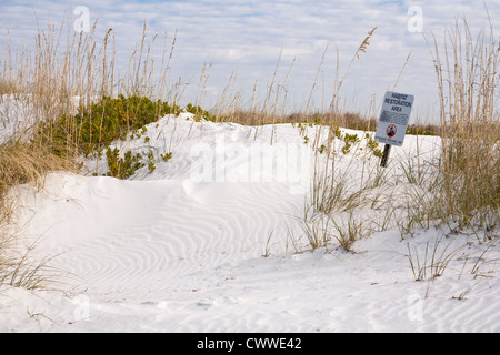 Segno avverte ripristino di habitat area in dune di sabbia lungo la linea costiera di Fort De Soto county park in Tierra Verde, Florida Foto Stock