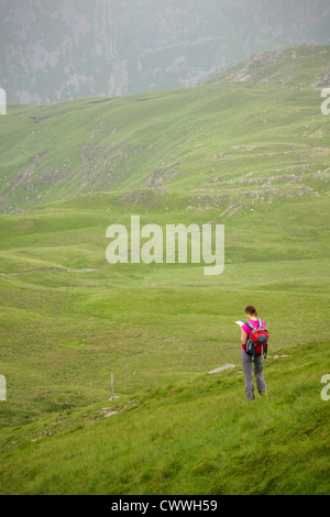 Un escursionista si ferma per controllare la loro mappa durante la discesa in Dovedale Beck da alta Hartsop Dodd nel distretto del lago, Cumbria. Foto Stock