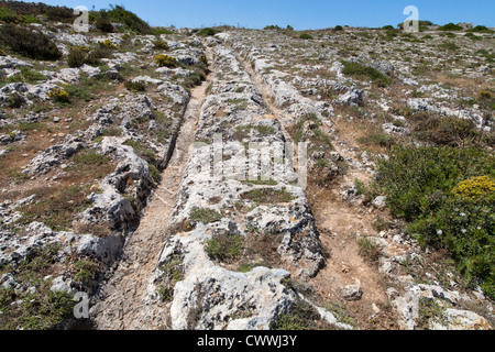 I misteriosi solchi di carri a Clapham Junction isola di Malta, Mare Mediterraneo Foto Stock