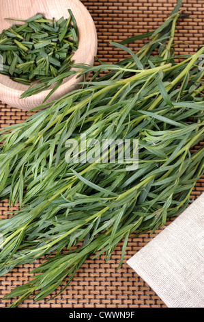 Un mazzetto di dragoncello, usato in cucina e medicina piante. Foto Stock