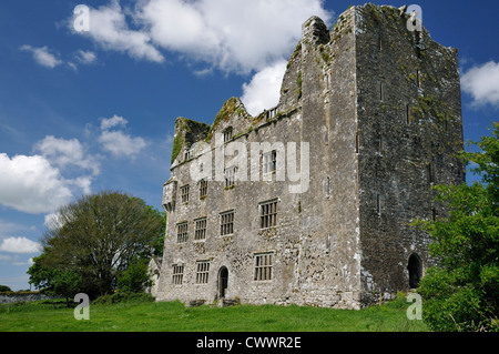 Il castello di Leamaneh, Kilfenora Foto Stock