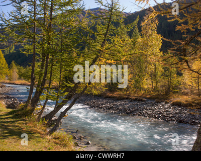 Esecuzione del flusso attraverso il paesaggio rurale Foto Stock