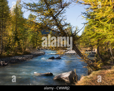 Esecuzione del flusso attraverso il paesaggio rurale Foto Stock